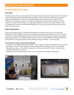 Fermentation In A Bag - Great Lakes Bioenergy Research Center