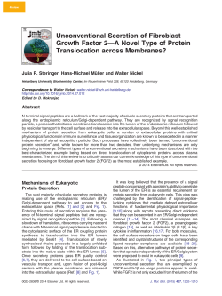 Nickel and Steringer 2014 J Mol Biol