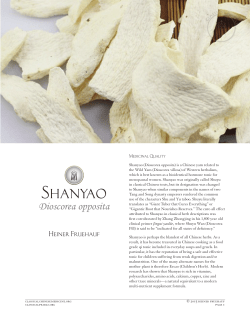 Shanyao - Classical Chinese Medicine