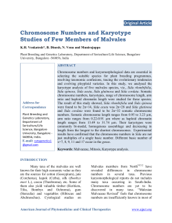 Chromosome Numbers and Karyotype Studies of Few