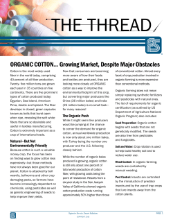 ORGANIC COTTON... Growing Market, Despite Major Obstacles