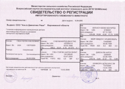 Untitled - Alta Genetics