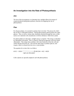 An Investigation into the Rate of Photosynthesis