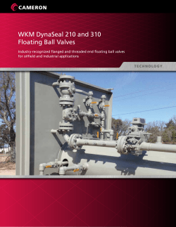WKM DynaSeal 210 and 310 Floating Ball Valves