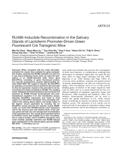 RU486inducible recombination in the salivary glands of lactoferrin