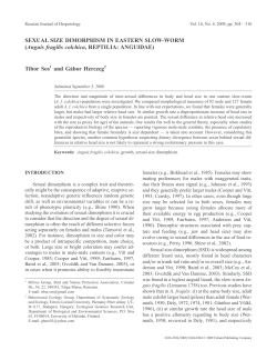 SEXUAL SIZE DIMORPHISM IN EASTERN SLOW