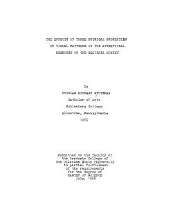 THE EFFECTS OF THREE PHYSICAL PROPERTIES OF VISUAL