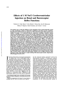 Effects of 1 M NaCl Cerebroventricular Injection on