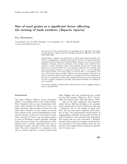 Size of sand grains as a significant factor affecting the nesting of