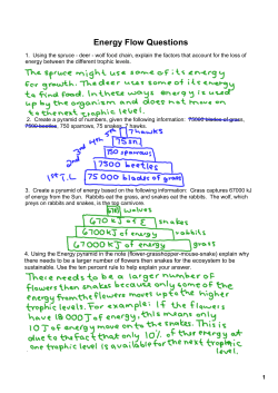 Energy Flow Questions