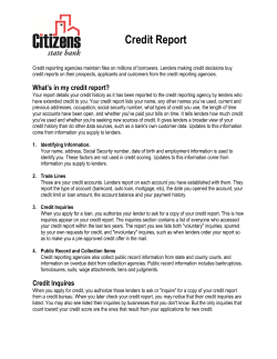 Credit Report - Citizens State Bank