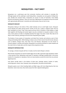 MOSQUITOES &ndash; FACT SHEET