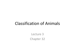 3 Lecture (Animal Classification I)