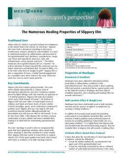 The Numerous Healing Properties of Slippery Elm