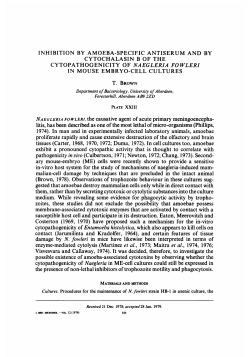 INHIBITION BY AMOEBA-SPECIFIC ANTISERUM AND BY
