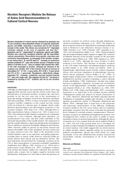 Nicotinic Receptors Mediate the Release of Amino Acid