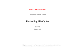 Illustrating Life Cycles