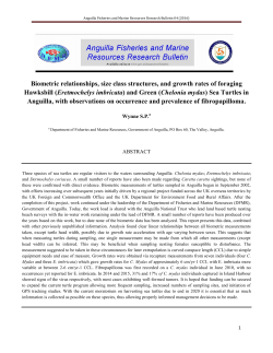 AFMR Research Bulletin 04 (2016)
