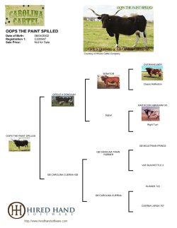 oops the paint spilled