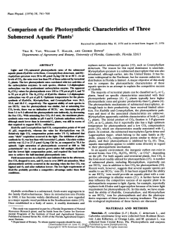 Comparison of the Photosynthetic Characteristics of Three