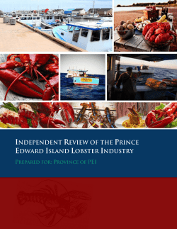 Independent Review of the PEI Lobster Industry