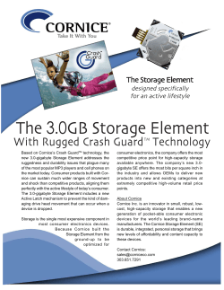 The 30GB Storage Element - Mobile