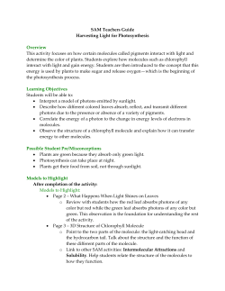SAM Teachers Guide - RI