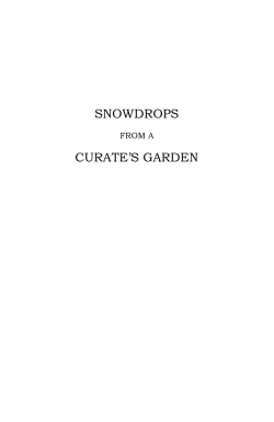 snowdrops curate`s garden