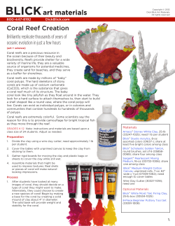 Coral Reef Creation - Blick Art Materials
