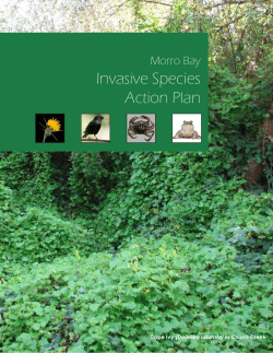 ISAP high res - the Morro Bay Knowledge Base!