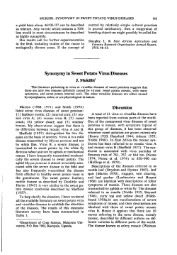 Synonymy in Sweet Potato Virus Diseases