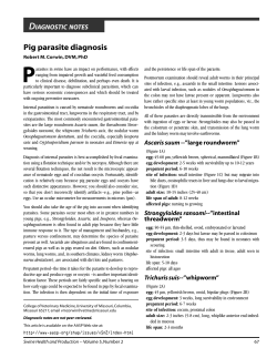 Pig parasite diagnosis