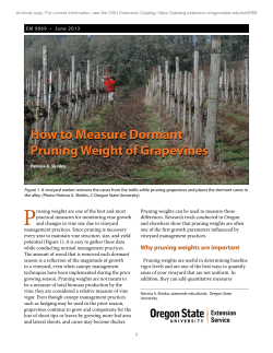 How to Measure Dormant Pruning Weight of Grapevines