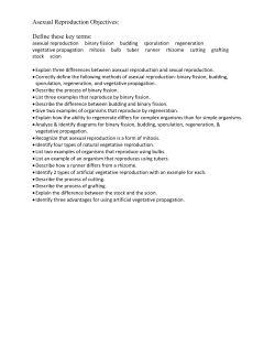 Asexual Reproduction Objectives: Define these key terms: