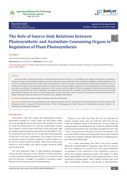 The Role of Source-Sink Relations between Photosynthetic and