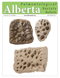 Number 3 - Alberta Palaeontological Society
