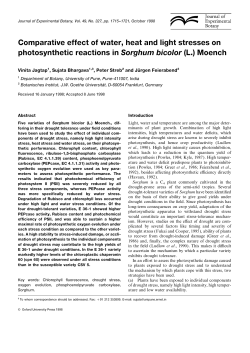 Comparative effect of water, heat and light
