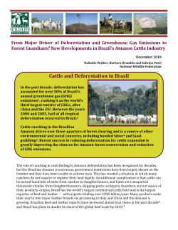 Cattle and Deforestation in Brazil