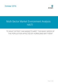 Multi-Sector Market Environment Analysis HAITI