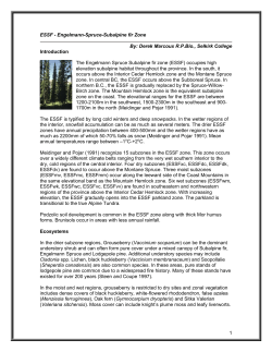 Engelmann Spruce - Subalpine Fir