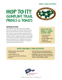 Hop to It: Frogs and Toads of the Gunflint Trail - Chik
