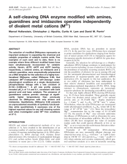 A self-cleaving DNA enzyme modified with amines