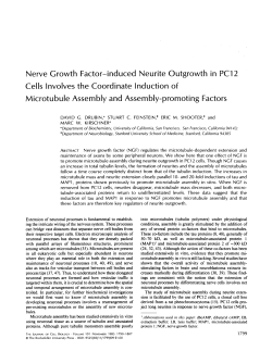 Nerve Growth Factor-induced Neurite Outgrowth in PC12 Cells