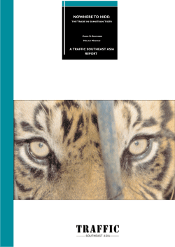 Nowhere to Hide: The Trade in Sumatran Tigers