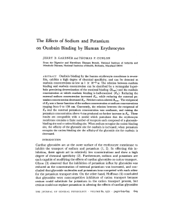 The Effects of Sodium and Potassium on Ouabain