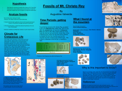 Fossil life that existed in Mt. Christo Rey, are dated to be