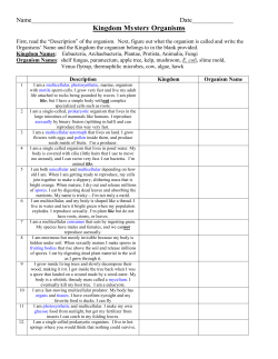 Kingdom Mystery Organisms