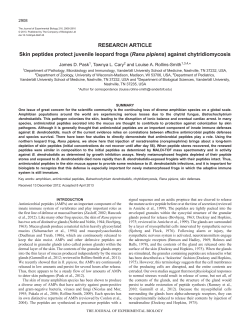Skin peptides protect juvenile leopard frogs (Rana pipiens) against