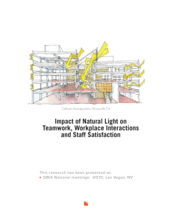 Impact of Natural Light on Teamwork, Workplace
