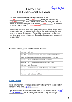 Energy Flow Food Chains and Food Webs